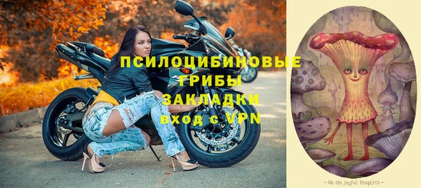 твердый Белокуриха