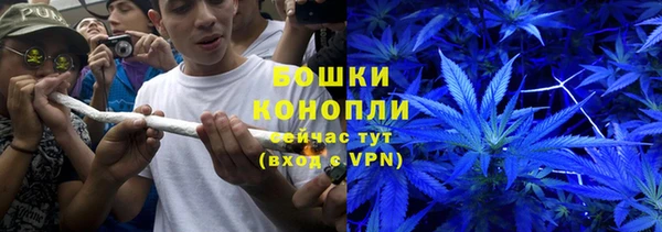 ALPHA PVP Елизово