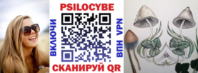 Галлюциногенные грибы мухоморы  продажа наркотиков  Железногорск-Илимский 